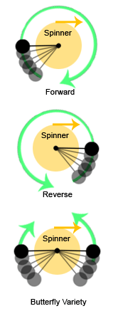 Sample Poi Spinning Directions