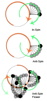 In-Spin and Anti-Spin Demonstration