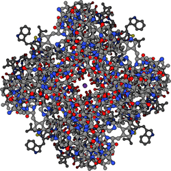 Schematic stick diagram of a tetrameric potassium channel where each of the monomeric subunits is symmetrically arranged around a central ion conduction pore. The pore axis is displayed perpendicular to the screen. Carbon, oxygen, and nitrogen atom are represented by grey, red, and blue spheres, respectively. A single potassium cation is depicted as a purple sphere in the center of the channel.
