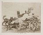 Surrounded by wild wolves, a horse kicks and bucks defending its freedom and its life. A group of wolf hounds look on passively.