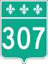 Route 307 shield