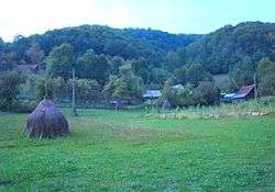 Rural landscape from Stănija
