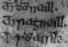 Photo of a fifteenth-century genealogy listing Ragnall between his father and son, Domnall.