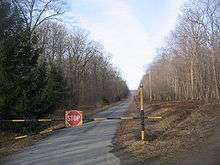 A gate made out of metal pipe with a STOP sign blocks a narrow blacktop road, which stretches off in a straight line into the distance between trees