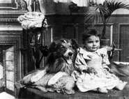 A black and white screenshot of a small baby sitting next to a collie from the film.