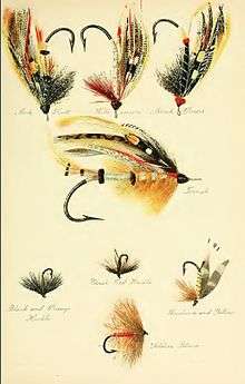 color plate of salmon flies