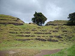 A series of semi-collapsed dry-stone terraces, overgrown with short grass. On top of the uppermost of five terraces stand the crumbling, overgrown remains of two large buildings flanking the ruins of a smaller structure. A tree grows from the right hand side of the smaller central building, and another stands in at extreme right, on the upper terrace and in front of the building also standing on it. The foreground is a flat plaza area, with the collapsed flank of a grass-covered pyramid at bottom right. The sky is overcast with low rainclouds.