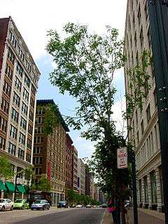 Photograph of the Washington Avenue Historic District
