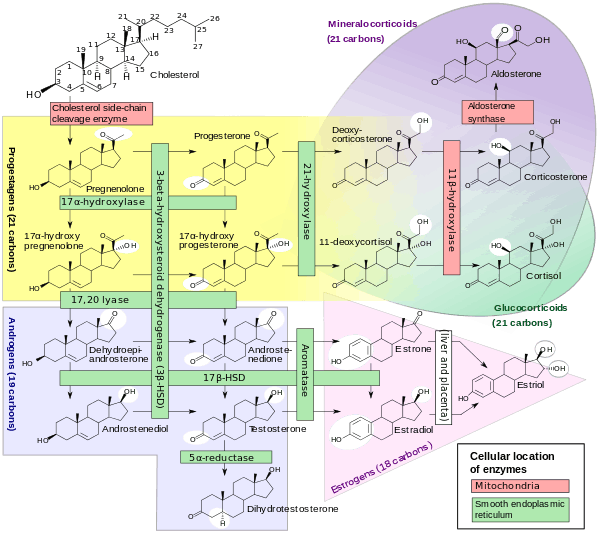 Chemical-diagram flow chart