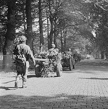 Column of marching men, jeeps towing guns along a tree lined street