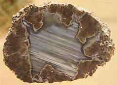 A sliced thunderegg with the polished face showing a water level pattern in clear, blue and white chalcedony bands.