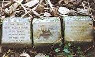 Three stone grave markers on the ground.