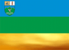Flag of Velykyi Bereznyi Raion