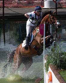 A dark brown horse with a rider on its back in mid-air, jumping out of the water to land on a grassy bank.